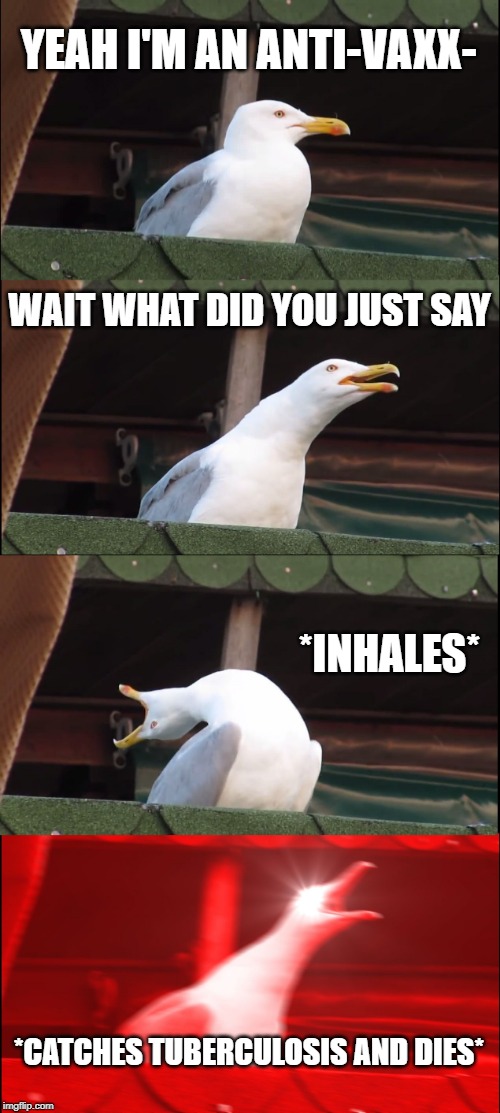 Inhaling Seagull | YEAH I'M AN ANTI-VAXX-; WAIT WHAT DID YOU JUST SAY; *INHALES*; *CATCHES TUBERCULOSIS AND DIES* | image tagged in memes,inhaling seagull | made w/ Imgflip meme maker