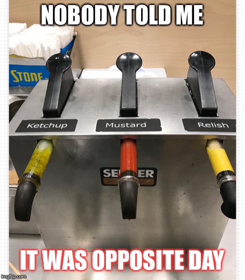 Something feels wrong | NOBODY TOLD ME; IT WAS OPPOSITE DAY | image tagged in funny,funny memes,memes,opposites,food | made w/ Imgflip meme maker