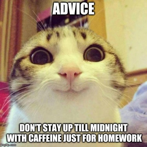 Smiling Cat Meme |  ADVICE; DON'T STAY UP TILL MIDNIGHT WITH CAFFEINE JUST FOR HOMEWORK | image tagged in memes,smiling cat | made w/ Imgflip meme maker