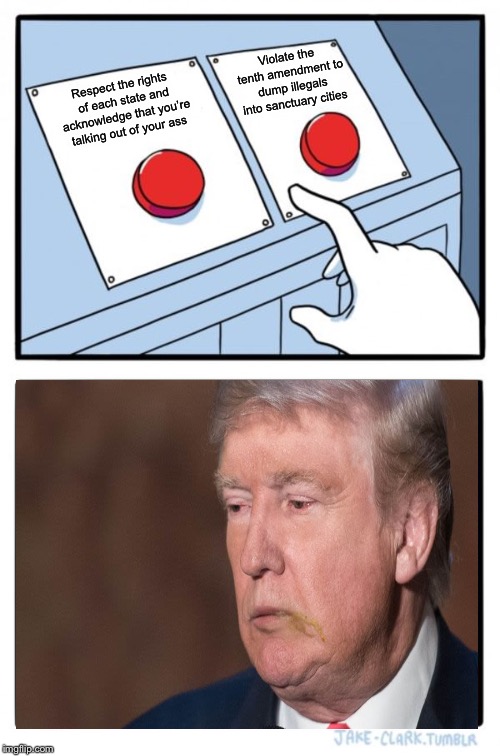 The only two logical choices | Violate the tenth amendment to dump illegals into sanctuary cities; Respect the rights of each state and acknowledge that you’re talking out of your ass | image tagged in memes,two buttons,donald trump,sanctuary cities,illegal immigration | made w/ Imgflip meme maker