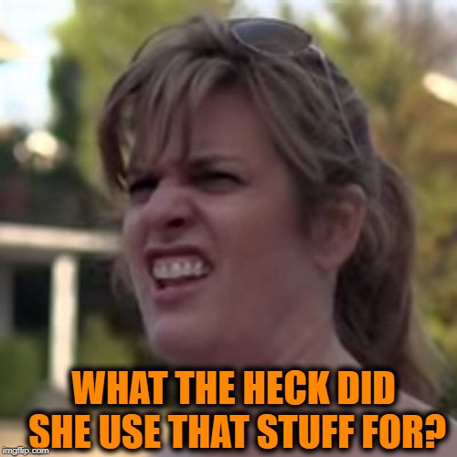 seriously? | WHAT THE HECK DID SHE USE THAT STUFF FOR? | image tagged in seriously | made w/ Imgflip meme maker