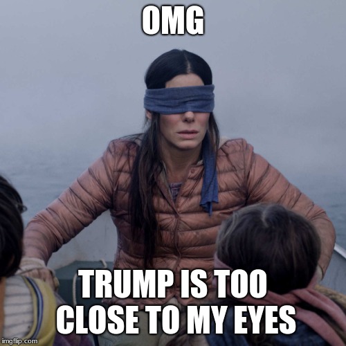 Bird Box | OMG; TRUMP IS TOO CLOSE TO MY EYES | image tagged in memes,bird box | made w/ Imgflip meme maker