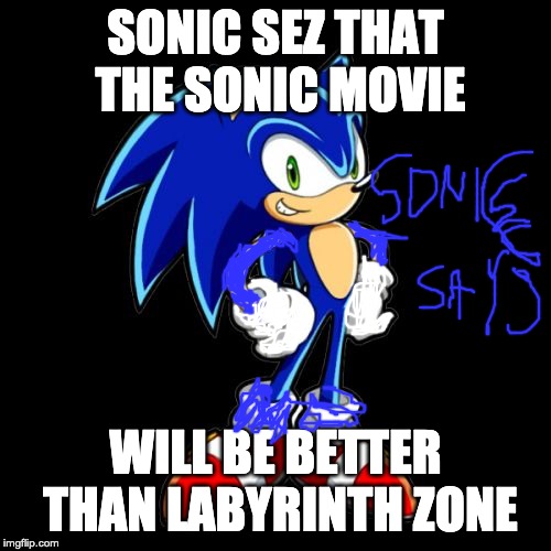 You're Too Slow Sonic | SONIC SEZ THAT THE SONIC MOVIE; WILL BE BETTER THAN LABYRINTH ZONE | image tagged in memes,youre too slow sonic | made w/ Imgflip meme maker