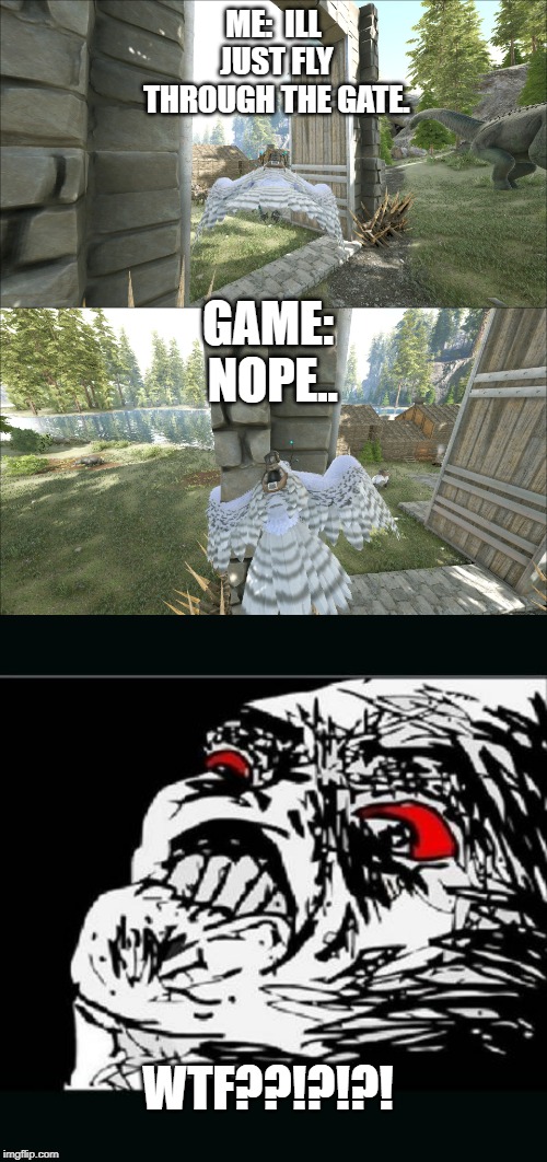 ARK wtf? | ME:  ILL JUST FLY THROUGH THE GATE. GAME: NOPE.. WTF??!?!?! | image tagged in wtf,ark survival evolved,ark,survival,evolved | made w/ Imgflip meme maker