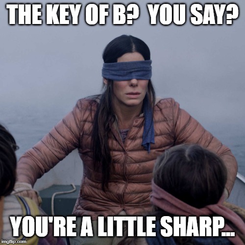 Bird Box | THE KEY OF B?  YOU SAY? YOU'RE A LITTLE SHARP... | image tagged in memes,bird box | made w/ Imgflip meme maker