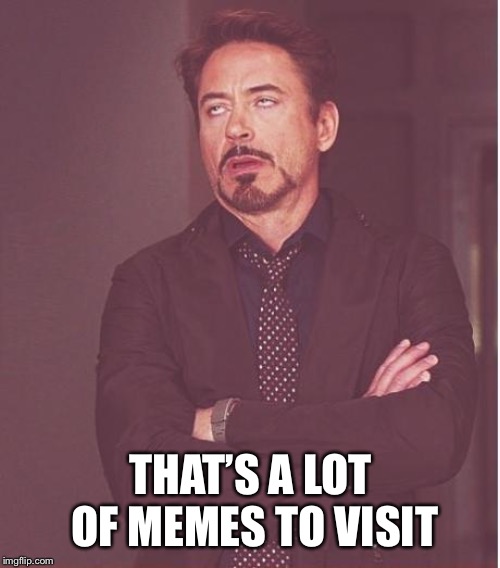 Face You Make Robert Downey Jr Meme | THAT’S A LOT OF MEMES TO VISIT | image tagged in memes,face you make robert downey jr | made w/ Imgflip meme maker