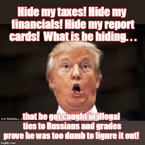 Trump is unstable and not a genius by far | Hide my taxes! Hide my financials! Hide my report cards!  What is he hiding. . . that he got caught in illegal ties to Russians and grades prove he was too dumb to figure it out! | image tagged in trump,hide taxes,hide financials,hide report cards,broke the law,snake in the grass | made w/ Imgflip meme maker