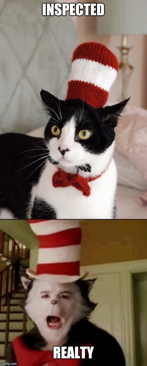 INSPECTED; REALTY | image tagged in cat in the hat,cat in the hat how it should of been | made w/ Imgflip meme maker