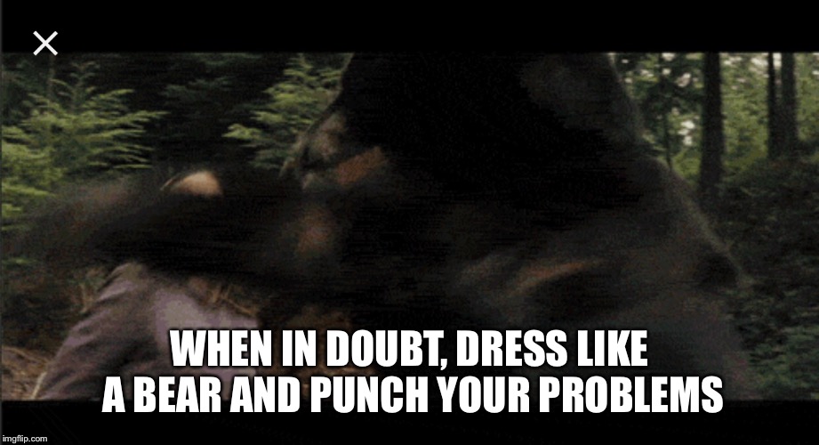 WHEN IN DOUBT, DRESS LIKE A BEAR AND PUNCH YOUR PROBLEMS | made w/ Imgflip meme maker