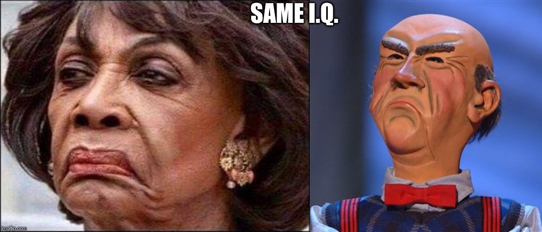 Runners up to Play the scarecrow... | SAME I.Q. | image tagged in maxine waters,walter | made w/ Imgflip meme maker