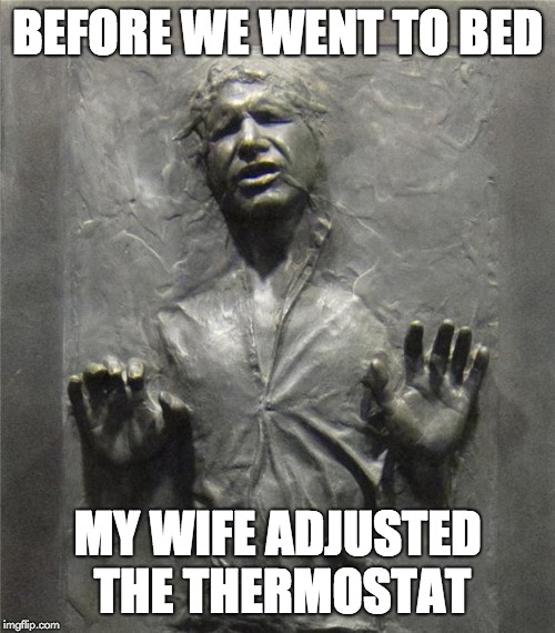 Han Solo Frozen Carbonite | BEFORE WE WENT TO BED; MY WIFE ADJUSTED THE THERMOSTAT | image tagged in han solo frozen carbonite | made w/ Imgflip meme maker