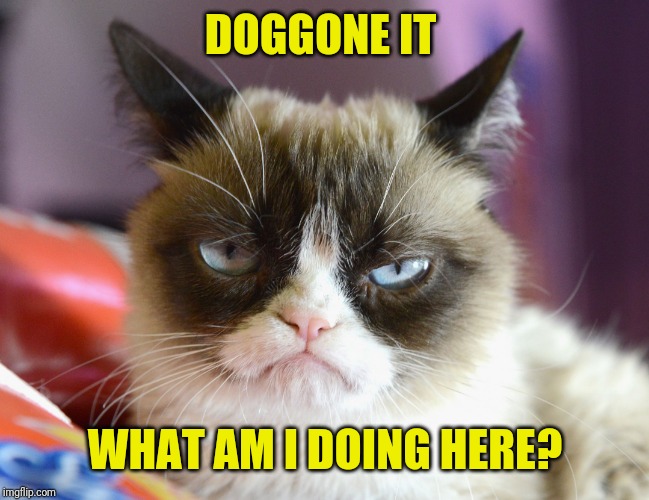 DOGGONE IT WHAT AM I DOING HERE? | made w/ Imgflip meme maker