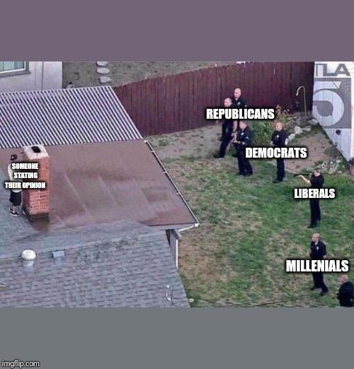 Fortnite meme | REPUBLICANS; DEMOCRATS; LIBERALS; SOMEONE STATING THEIR OPINION; MILLENIALS | image tagged in fortnite meme | made w/ Imgflip meme maker