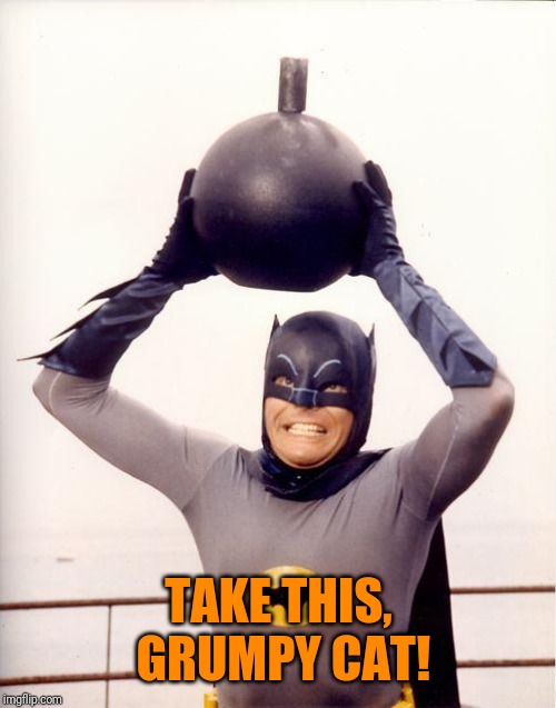 batman bomb | TAKE THIS, GRUMPY CAT! | image tagged in batman bomb | made w/ Imgflip meme maker