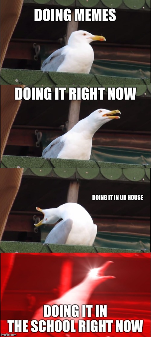 Inhaling Seagull | DOING MEMES; DOING IT RIGHT NOW; DOING IT IN UR HOUSE; DOING IT IN THE SCHOOL RIGHT NOW | image tagged in memes,inhaling seagull | made w/ Imgflip meme maker