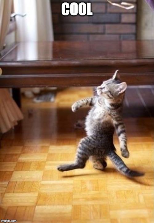 Cool Cat Stroll Meme | COOL | image tagged in memes,cool cat stroll | made w/ Imgflip meme maker