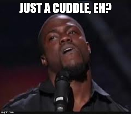 Kevin Hart | JUST A CUDDLE, EH? | image tagged in kevin hart | made w/ Imgflip meme maker