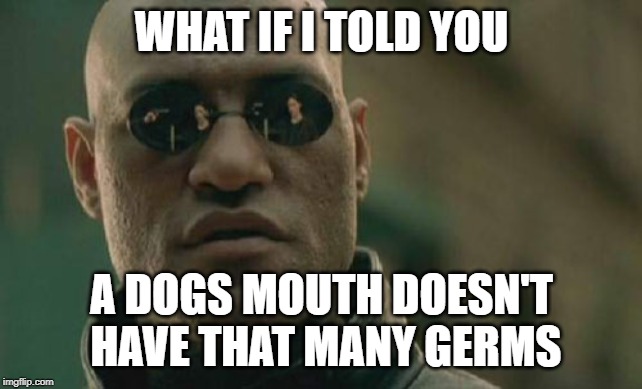 Matrix Morpheus Meme | WHAT IF I TOLD YOU A DOGS MOUTH DOESN'T HAVE THAT MANY GERMS | image tagged in memes,matrix morpheus | made w/ Imgflip meme maker