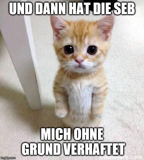 Cute Cat Meme | UND DANN HAT DIE SEB; MICH OHNE GRUND VERHAFTET | image tagged in memes,cute cat | made w/ Imgflip meme maker
