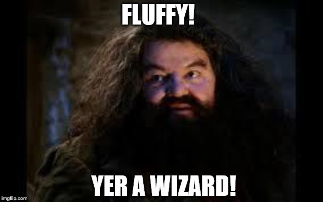 hagrid yer a wizard | FLUFFY! YER A WIZARD! | image tagged in hagrid yer a wizard | made w/ Imgflip meme maker