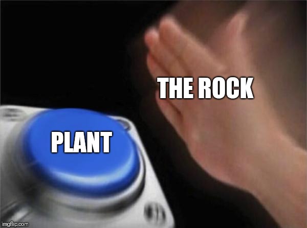 Blank Nut Button Meme | THE ROCK; PLANT | image tagged in memes,blank nut button | made w/ Imgflip meme maker