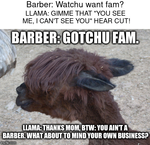 LLama Hear Your Augmented Reality | Barber: Watchu want fam? LLAMA: GIMME THAT "YOU SEE ME, I CAN'T SEE YOU" HEAR CUT! BARBER: GOTCHU FAM. LLAMA: THANKS MOM, BTW: YOU AIN'T A B | image tagged in llama hear your augmented reality | made w/ Imgflip meme maker
