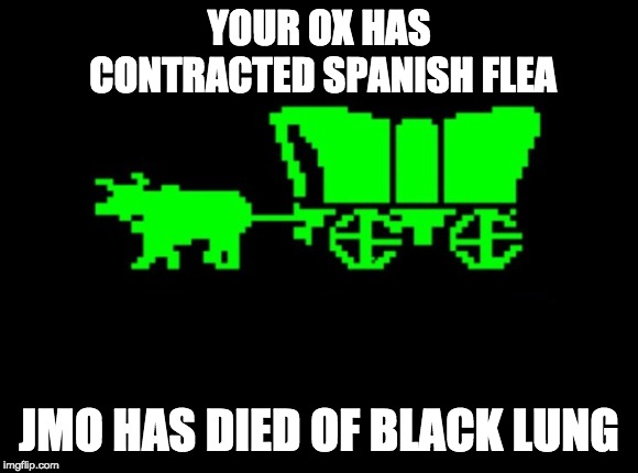 Oregon trail | YOUR OX HAS CONTRACTED SPANISH FLEA; JMO HAS DIED OF BLACK LUNG | image tagged in oregon trail | made w/ Imgflip meme maker