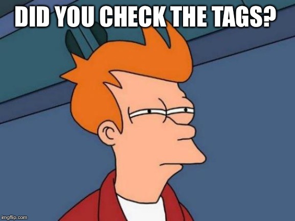 Futurama Fry Meme | DID YOU CHECK THE TAGS? | image tagged in memes,futurama fry | made w/ Imgflip meme maker