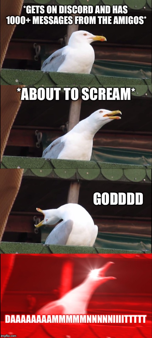Inhaling Seagull Meme | *GETS ON DISCORD AND HAS 1000+ MESSAGES FROM THE AMIGOS*; *ABOUT TO SCREAM*; GODDDD; DAAAAAAAAMMMMMNNNNNIIIITTTTT | image tagged in memes,inhaling seagull | made w/ Imgflip meme maker