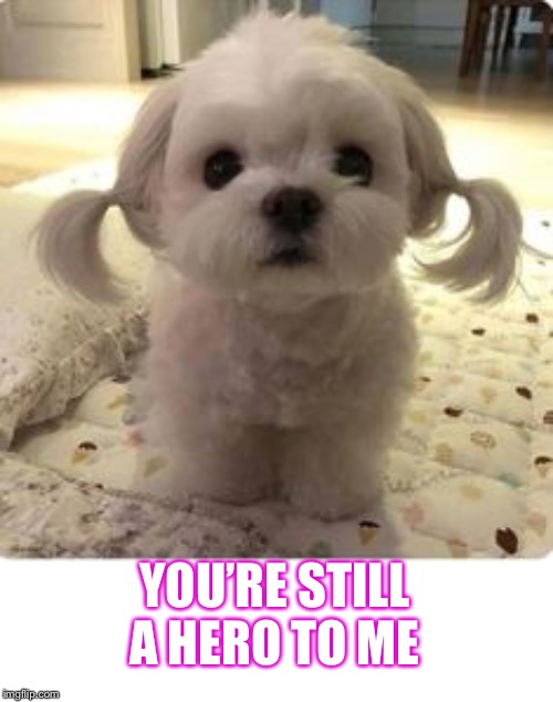 YOU’RE STILL A HERO TO ME | made w/ Imgflip meme maker