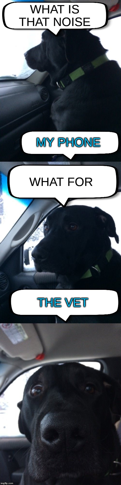 Dismayed Duke | WHAT IS THAT NOISE; MY PHONE; WHAT FOR; THE VET | image tagged in dismayed duke | made w/ Imgflip meme maker