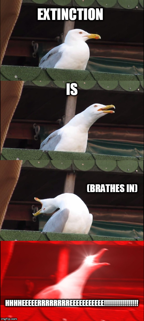 Inhaling Seagull | EXTINCTION; IS; (BRATHES IN); HHHHEEEEERRRRRRRREEEEEEEEEEE!!!!!!!!!!!!!!!!! | image tagged in memes,inhaling seagull | made w/ Imgflip meme maker