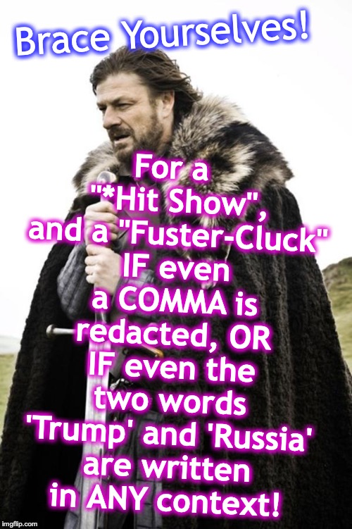Brace yourselves  | For a  "*Hit Show", and a "Fuster-Cluck" IF even a COMMA is redacted, OR IF even the two words 'Trump' and 'Russia' are written in ANY context! Brace Yourselves! | image tagged in brace yourselves | made w/ Imgflip meme maker