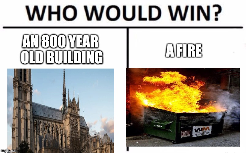 The winner was a bit obvious | AN 800 YEAR OLD BUILDING; A FIRE | image tagged in memes,who would win,notre dame,fire | made w/ Imgflip meme maker