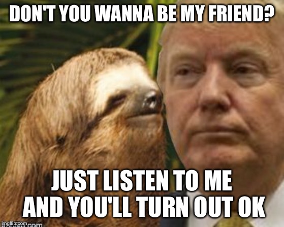 Political advice sloth | DON'T YOU WANNA BE MY FRIEND? JUST LISTEN TO ME AND YOU'LL TURN OUT OK | image tagged in political advice sloth | made w/ Imgflip meme maker