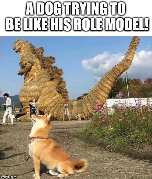 Dogzilla | A DOG TRYING TO BE LIKE HIS ROLE MODEL! | image tagged in dog,godzilla,claybourne | made w/ Imgflip meme maker