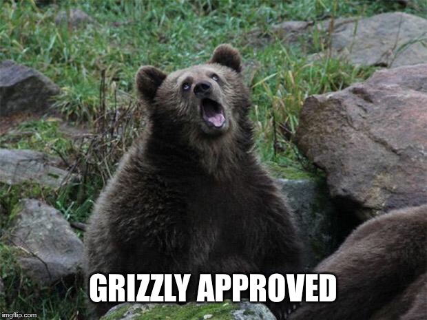 Sarcastic Bear | GRIZZLY APPROVED | image tagged in sarcastic bear | made w/ Imgflip meme maker