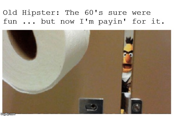 Bathroom Stall Bert | Old Hipster: The 60's sure were fun ... but now I'm payin' for it. | image tagged in bert,bathroom stall,toilet humor,hipster,sesame street - angry bert | made w/ Imgflip meme maker