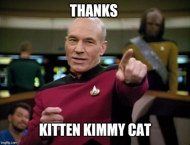 Picard | THANKS KITTEN KIMMY CAT | image tagged in picard | made w/ Imgflip meme maker