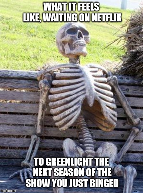 Waiting Skeleton | WHAT IT FEELS LIKE, WAITING ON NETFLIX; TO GREENLIGHT THE NEXT SEASON OF THE SHOW YOU JUST BINGED | image tagged in memes,waiting skeleton | made w/ Imgflip meme maker