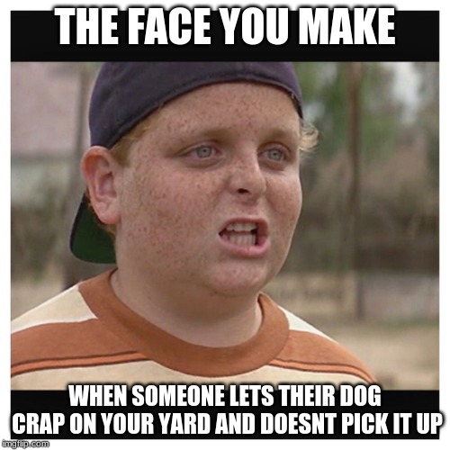 doesnt this happen to all of us | THE FACE YOU MAKE; WHEN SOMEONE LETS THEIR DOG CRAP ON YOUR YARD AND DOESNT PICK IT UP | image tagged in your killing me smalls,funny,dog poop | made w/ Imgflip meme maker