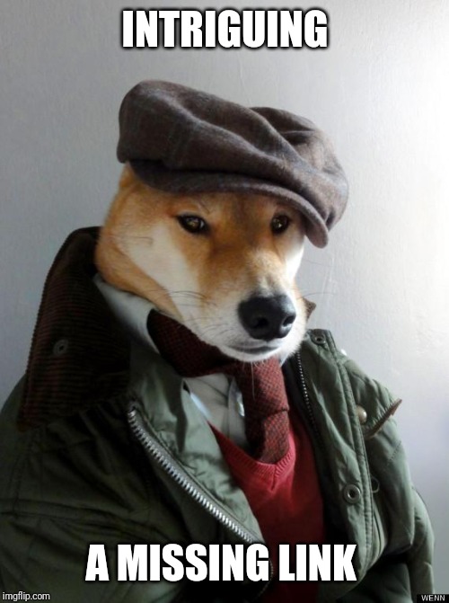 Professor Doge | INTRIGUING A MISSING LINK | image tagged in professor doge | made w/ Imgflip meme maker