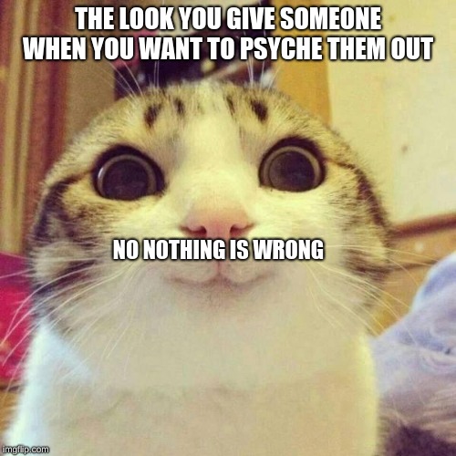 smiley cat | THE LOOK YOU GIVE SOMEONE WHEN YOU WANT TO PSYCHE THEM OUT; NO NOTHING IS WRONG | image tagged in smiley cat | made w/ Imgflip meme maker