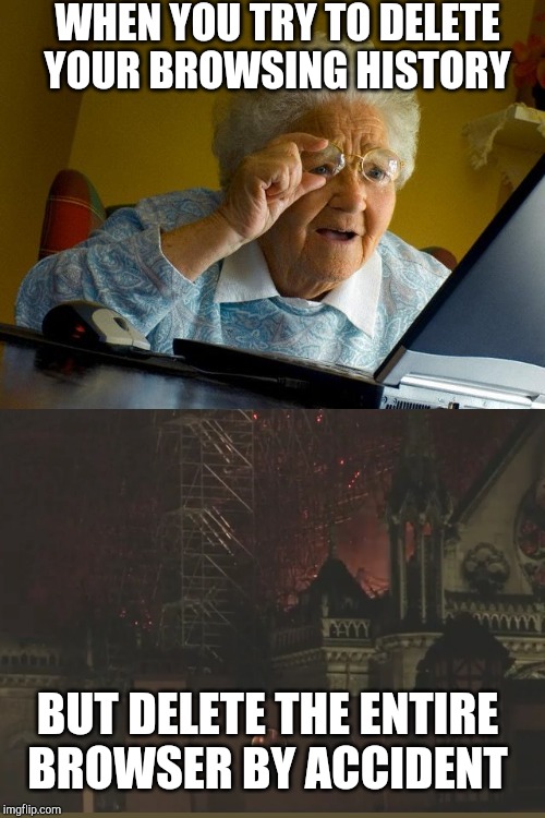 Grandma deleted the browser | WHEN YOU TRY TO DELETE YOUR BROWSING HISTORY; BUT DELETE THE ENTIRE BROWSER BY ACCIDENT | image tagged in memes,grandma finds the internet,notre dame | made w/ Imgflip meme maker