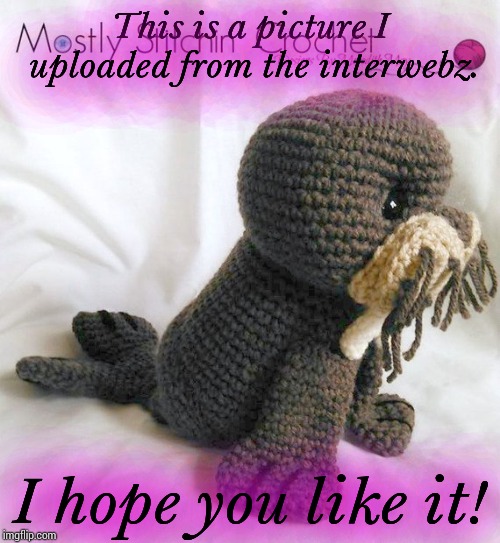 Cute walrus crochet | This is a picture I uploaded from the interwebz. I hope you like it! | image tagged in cute walrus crochet | made w/ Imgflip meme maker