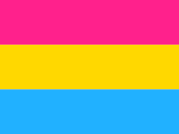 Pansexual flag Blank Meme Template