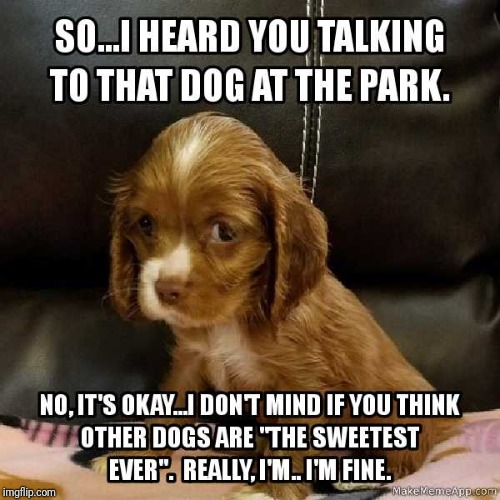 Insecure Puppy | image tagged in insecure puppy | made w/ Imgflip meme maker