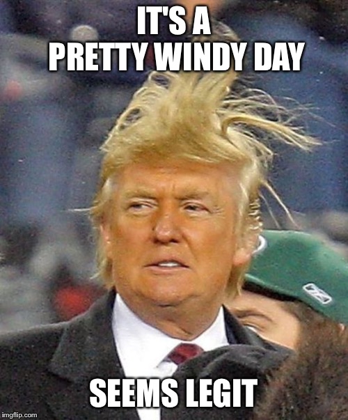 Donald Trumph hair | IT'S A PRETTY WINDY DAY; SEEMS LEGIT | image tagged in donald trumph hair | made w/ Imgflip meme maker