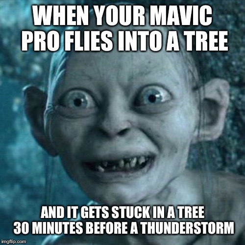 R.I.P $500 drone ? | WHEN YOUR MAVIC PRO FLIES INTO A TREE; AND IT GETS STUCK IN A TREE 30 MINUTES BEFORE A THUNDERSTORM | image tagged in memes,gollum,drone,oh crap | made w/ Imgflip meme maker