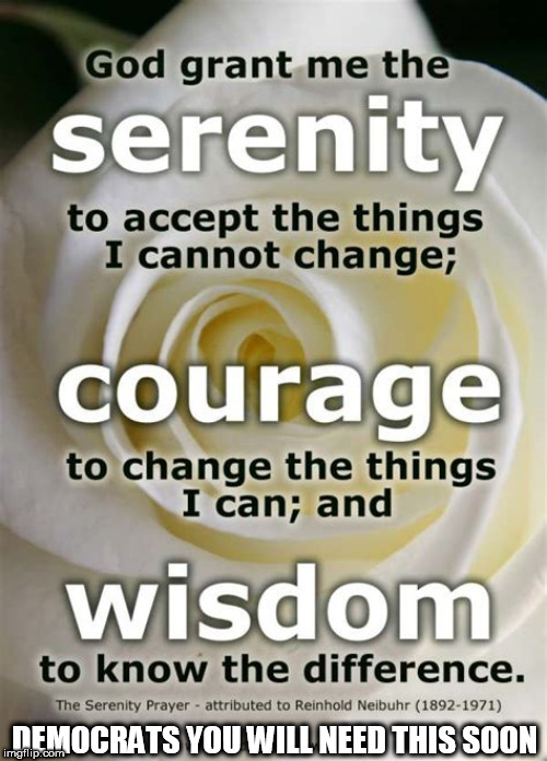 serenity | DEMOCRATS YOU WILL NEED THIS SOON | image tagged in serenity | made w/ Imgflip meme maker